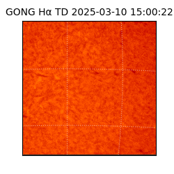gong - 2025-03-10T15:00:22