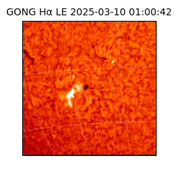 gong - 2025-03-10T01:00:42