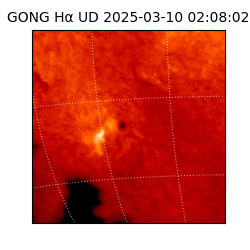 gong - 2025-03-10T02:08:02