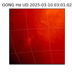 gong - 2025-03-10T03:01:02