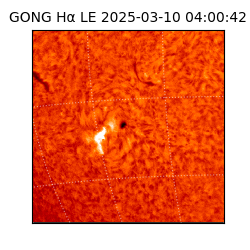 gong - 2025-03-10T04:00:42