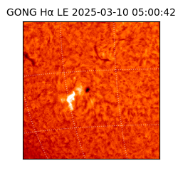 gong - 2025-03-10T05:00:42