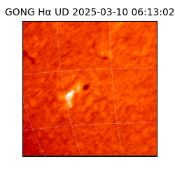 gong - 2025-03-10T06:13:02