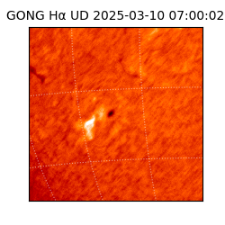 gong - 2025-03-10T07:00:02