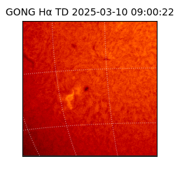 gong - 2025-03-10T09:00:22