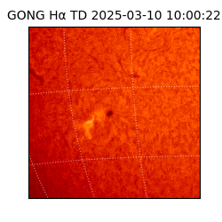 gong - 2025-03-10T10:00:22