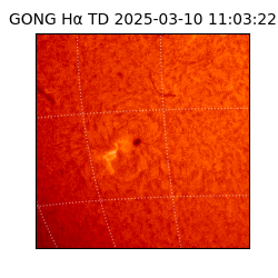 gong - 2025-03-10T11:03:22