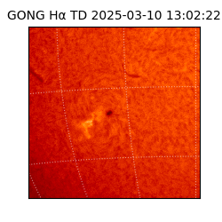 gong - 2025-03-10T13:02:22