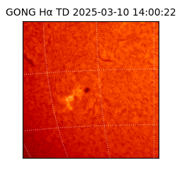 gong - 2025-03-10T14:00:22