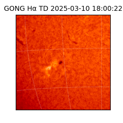 gong - 2025-03-10T18:00:22