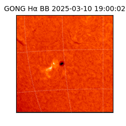 gong - 2025-03-10T19:00:02