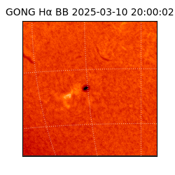 gong - 2025-03-10T20:00:02