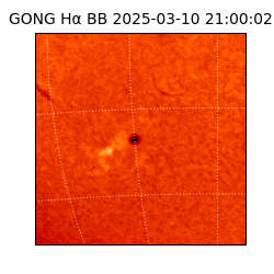 gong - 2025-03-10T21:00:02