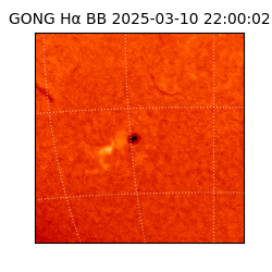 gong - 2025-03-10T22:00:02