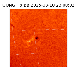 gong - 2025-03-10T23:00:02