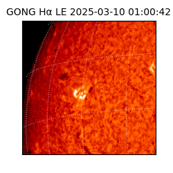 gong - 2025-03-10T01:00:42
