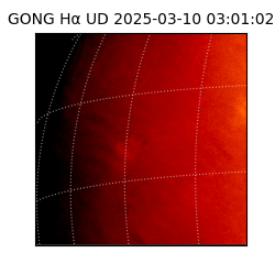 gong - 2025-03-10T03:01:02
