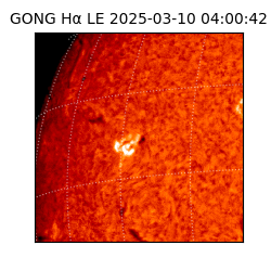 gong - 2025-03-10T04:00:42