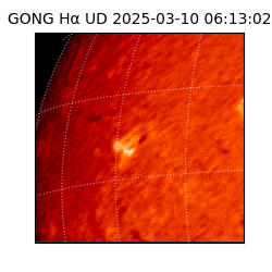 gong - 2025-03-10T06:13:02