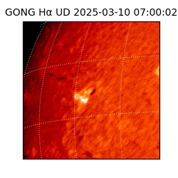 gong - 2025-03-10T07:00:02