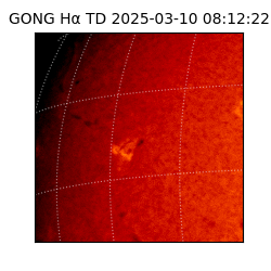 gong - 2025-03-10T08:12:22