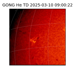 gong - 2025-03-10T09:00:22
