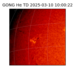 gong - 2025-03-10T10:00:22