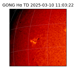 gong - 2025-03-10T11:03:22