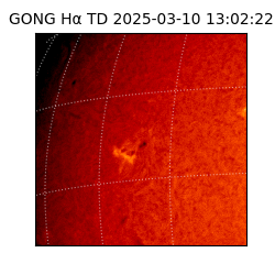 gong - 2025-03-10T13:02:22