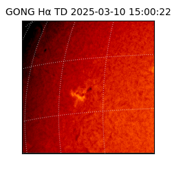 gong - 2025-03-10T15:00:22