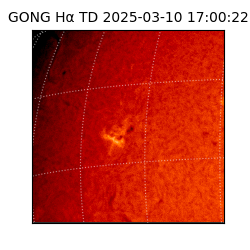 gong - 2025-03-10T17:00:22