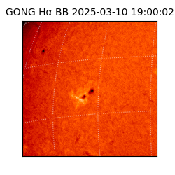 gong - 2025-03-10T19:00:02