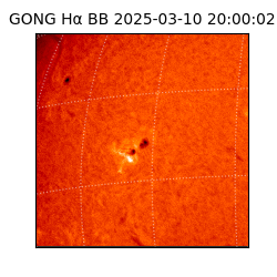 gong - 2025-03-10T20:00:02