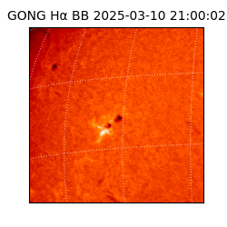 gong - 2025-03-10T21:00:02