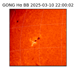 gong - 2025-03-10T22:00:02