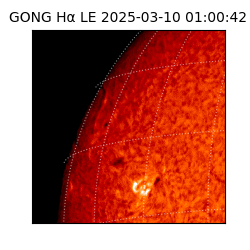 gong - 2025-03-10T01:00:42
