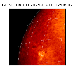 gong - 2025-03-10T02:08:02