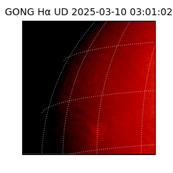 gong - 2025-03-10T03:01:02