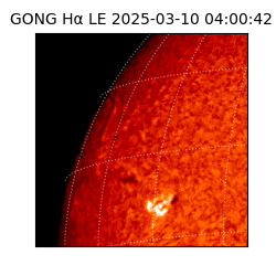 gong - 2025-03-10T04:00:42