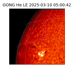 gong - 2025-03-10T05:00:42