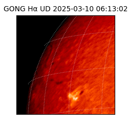 gong - 2025-03-10T06:13:02