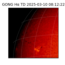 gong - 2025-03-10T08:12:22