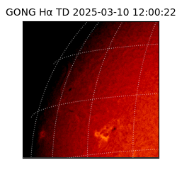 gong - 2025-03-10T12:00:22