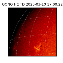 gong - 2025-03-10T17:00:22