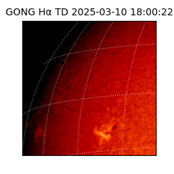 gong - 2025-03-10T18:00:22