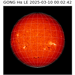 gong - 2025-03-10T00:02:42