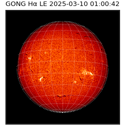 gong - 2025-03-10T01:00:42