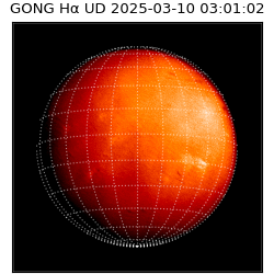 gong - 2025-03-10T03:01:02