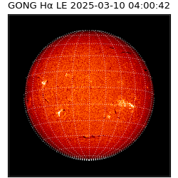 gong - 2025-03-10T04:00:42