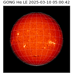 gong - 2025-03-10T05:00:42